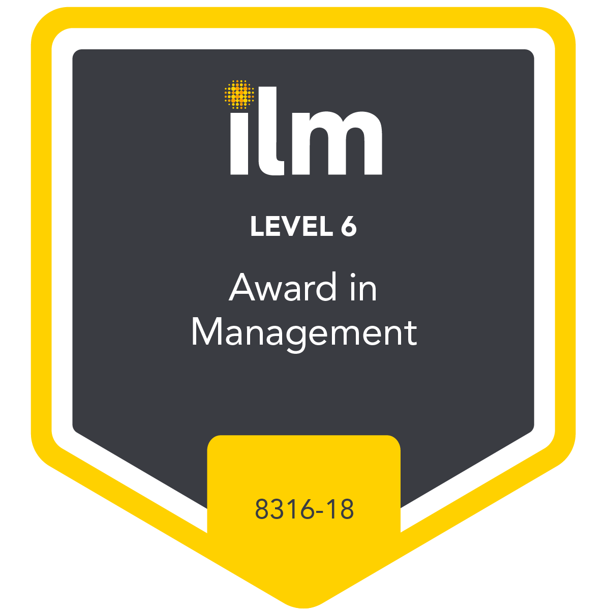 Level 6 Award in Management - 8316-18