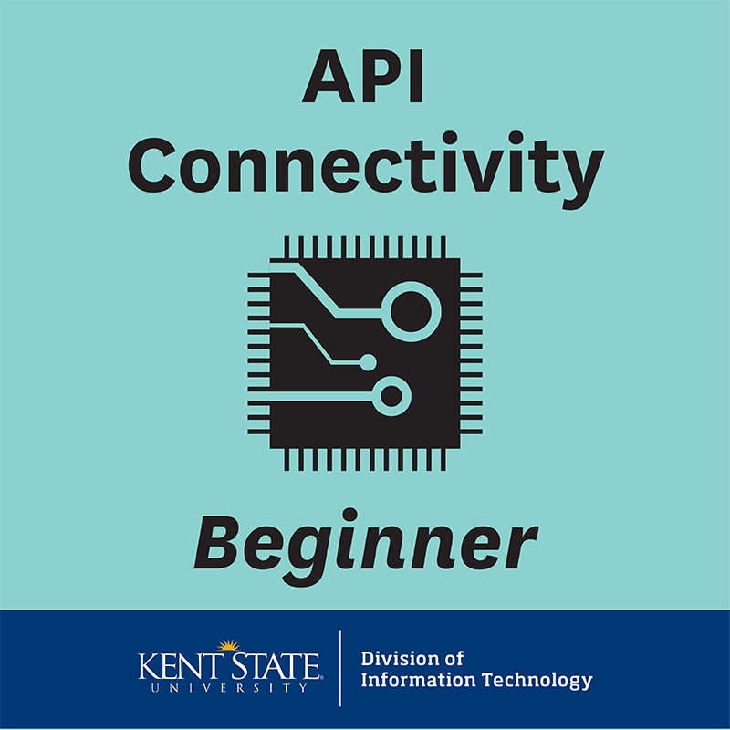 API Connectivity - Beginner