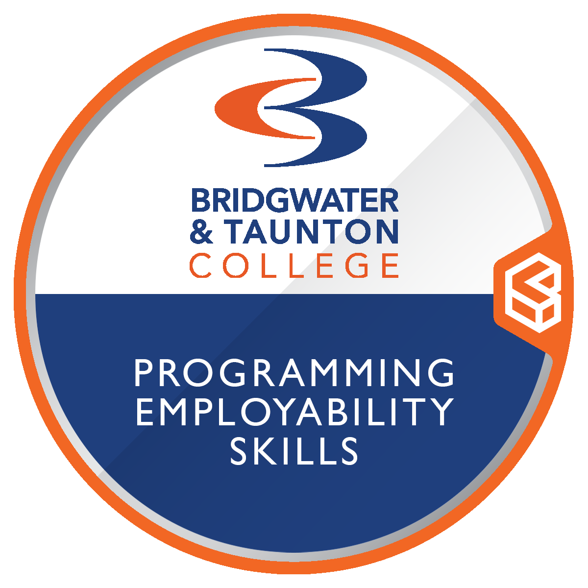 Bridgwater & Taunton College: Skills Bootcamp in Programming Employability