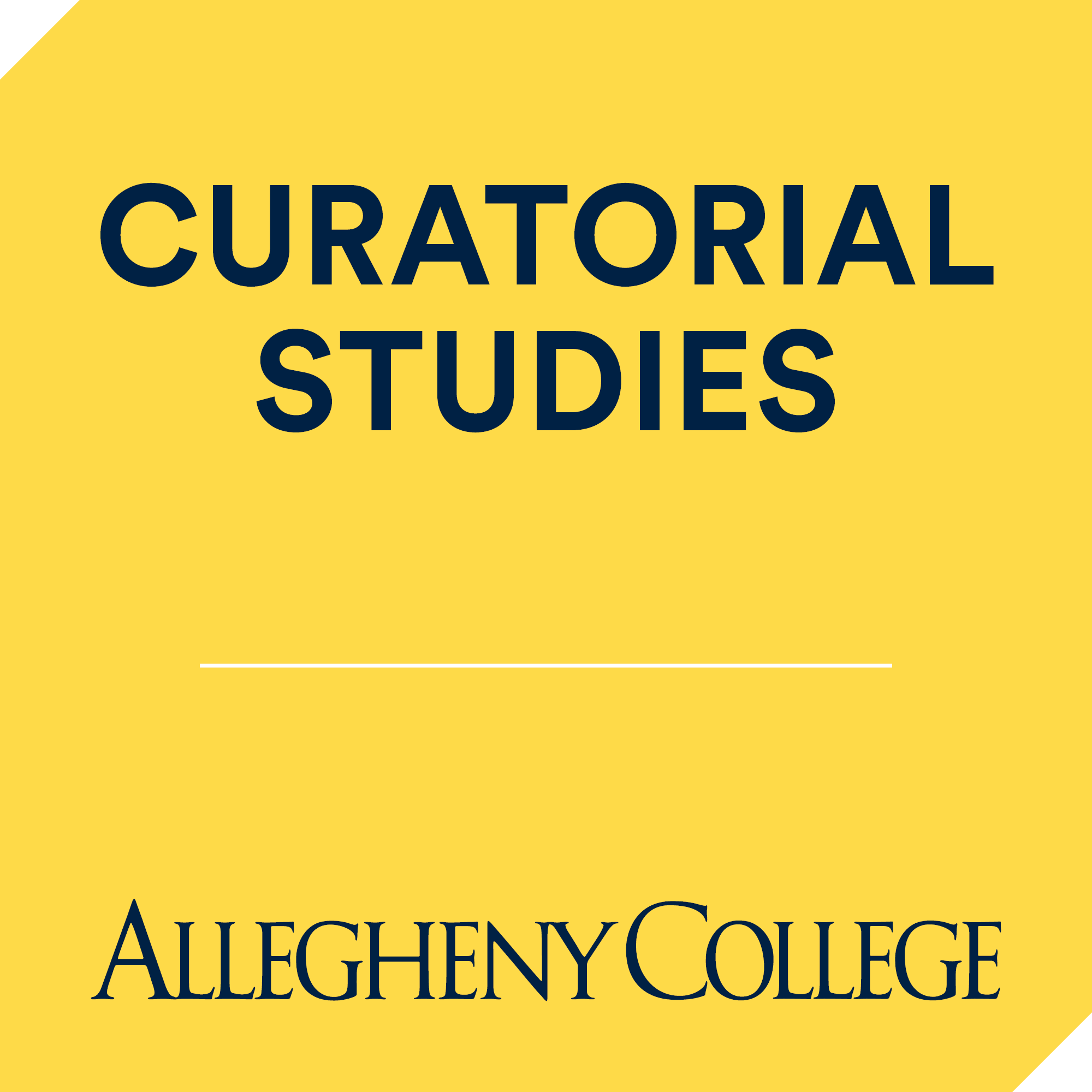 Curatorial Studies