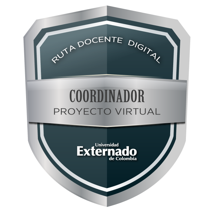 Coordinador proyecto virtual