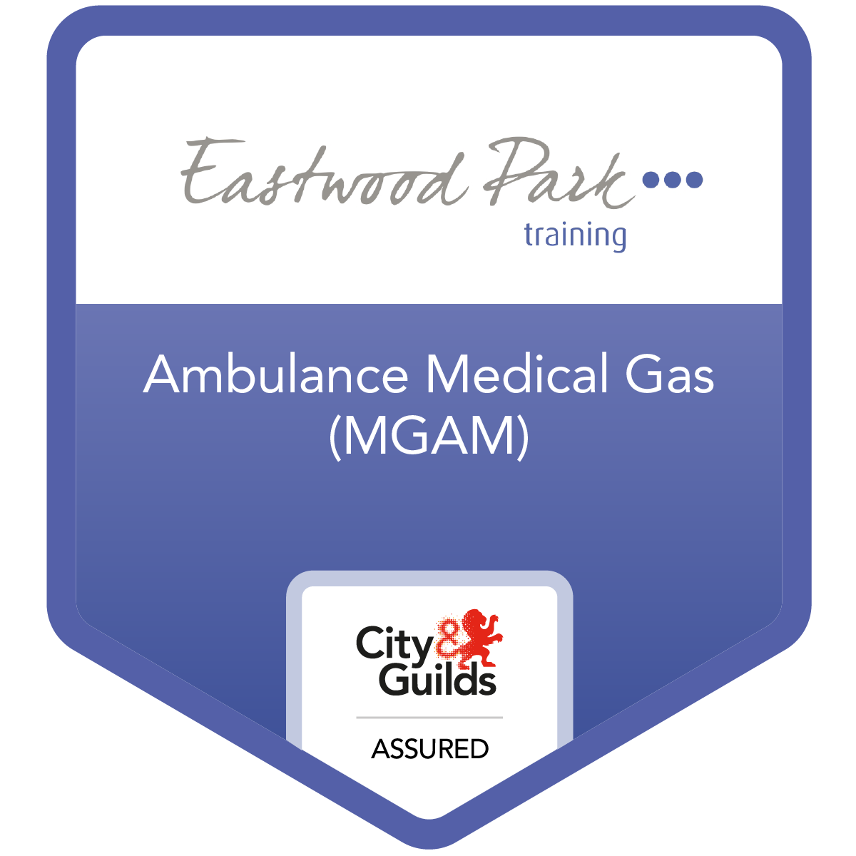 Ambulance Medical Gas Credly