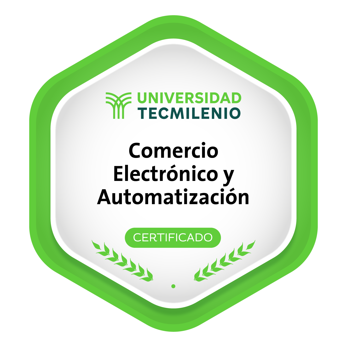 Comercio electrónico y automatización