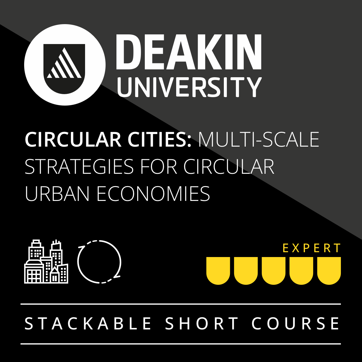 Design for Circular Cities: Multi-scale strategies for Circular Urban Economies