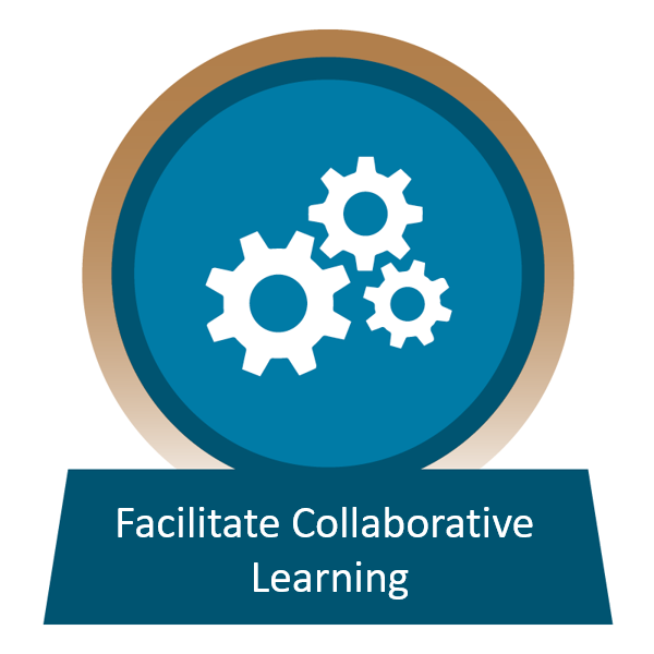 Facilitate Collaborative Learning - Mauri Oho/Emerging