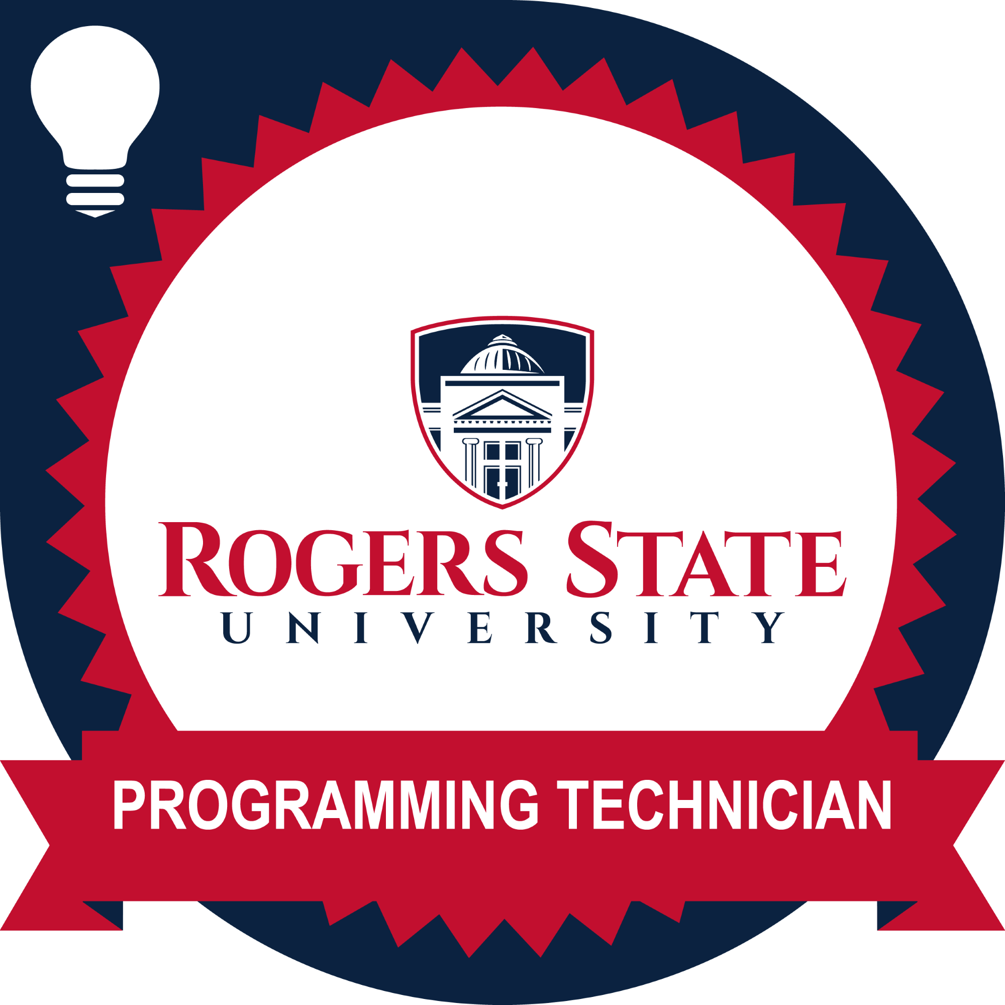 Programming Technician