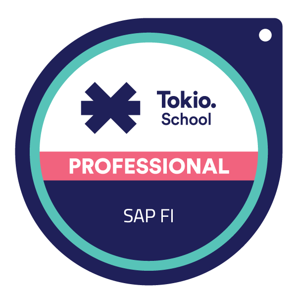 SAP FI