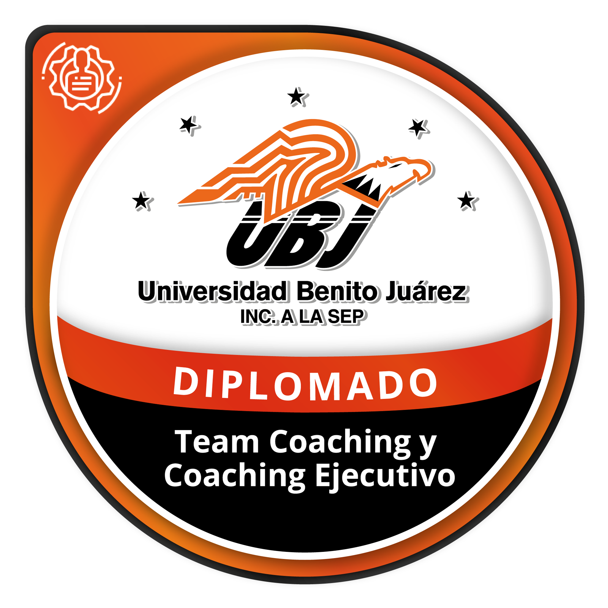 Diplomado en Team Coaching y Coaching Ejecutivo