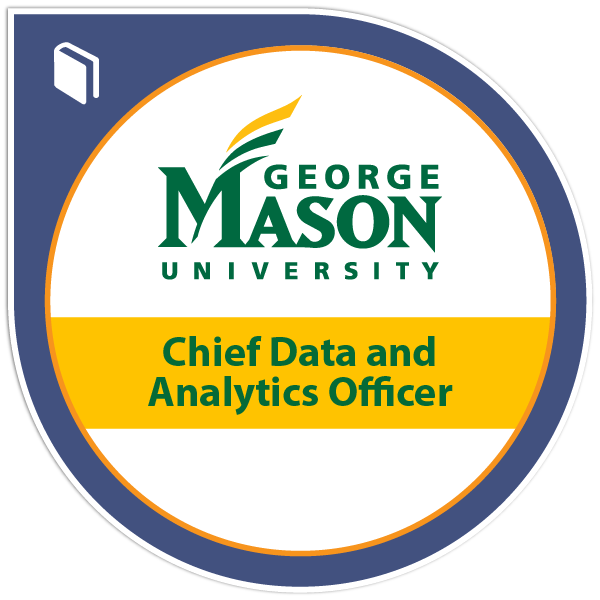 Chief Data and Analytics Officer Program