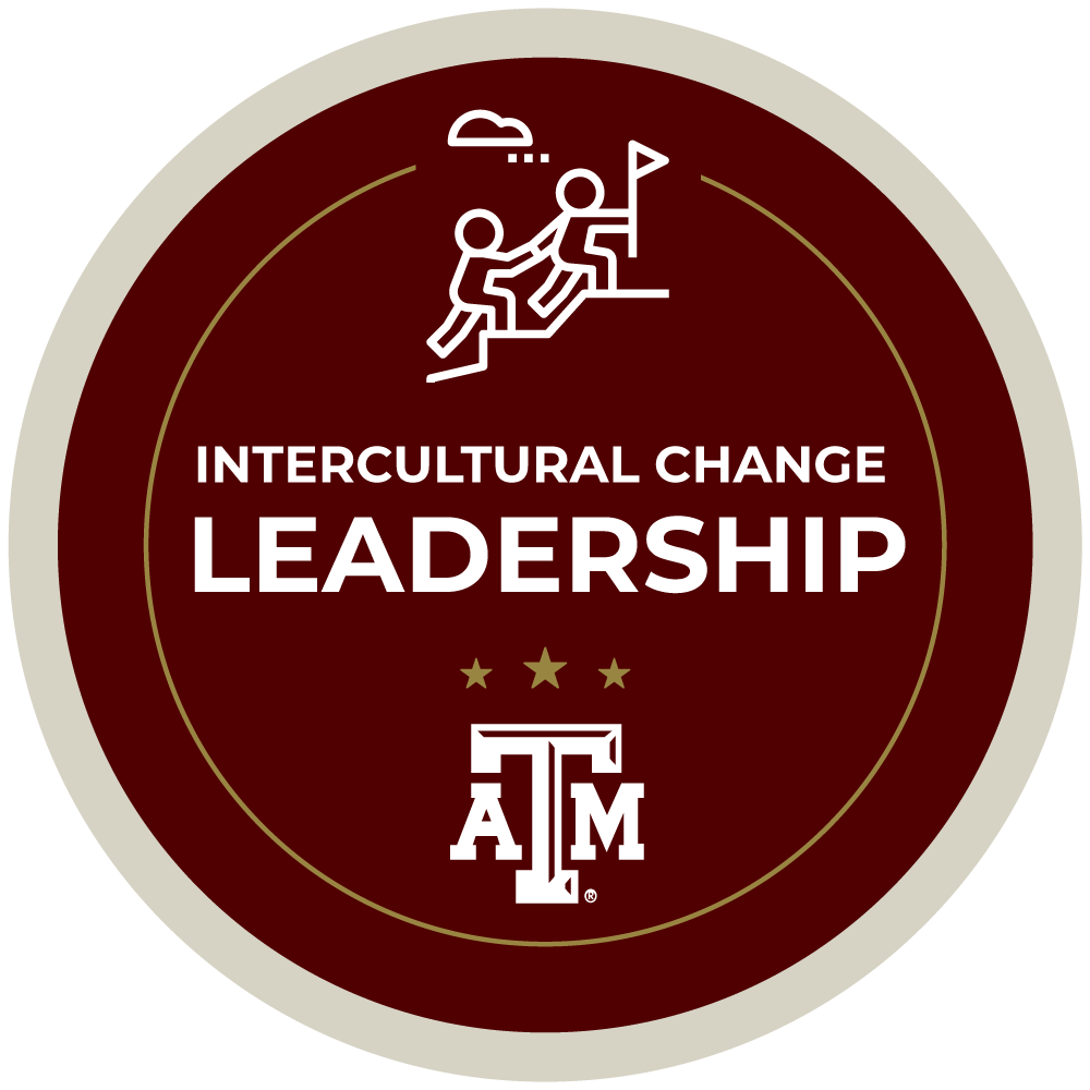 Intercultural Change Leadership