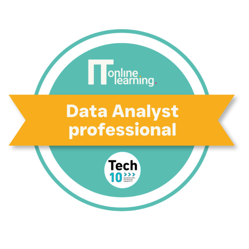 Data Analyst Professional - Credly
