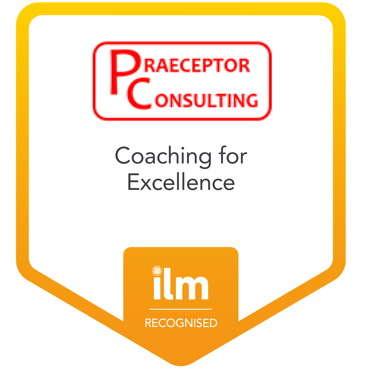 Coaching for Excellence - Praeceptor Consulting