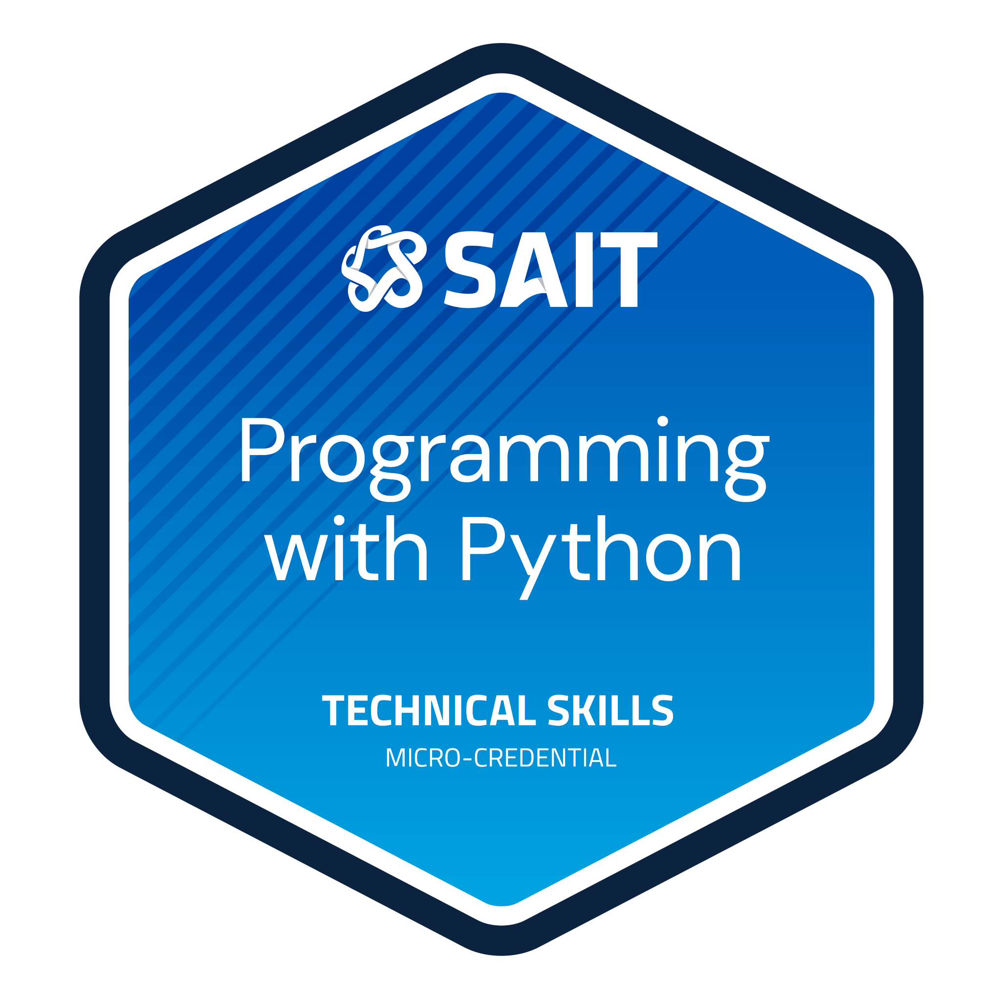 Programming with Python