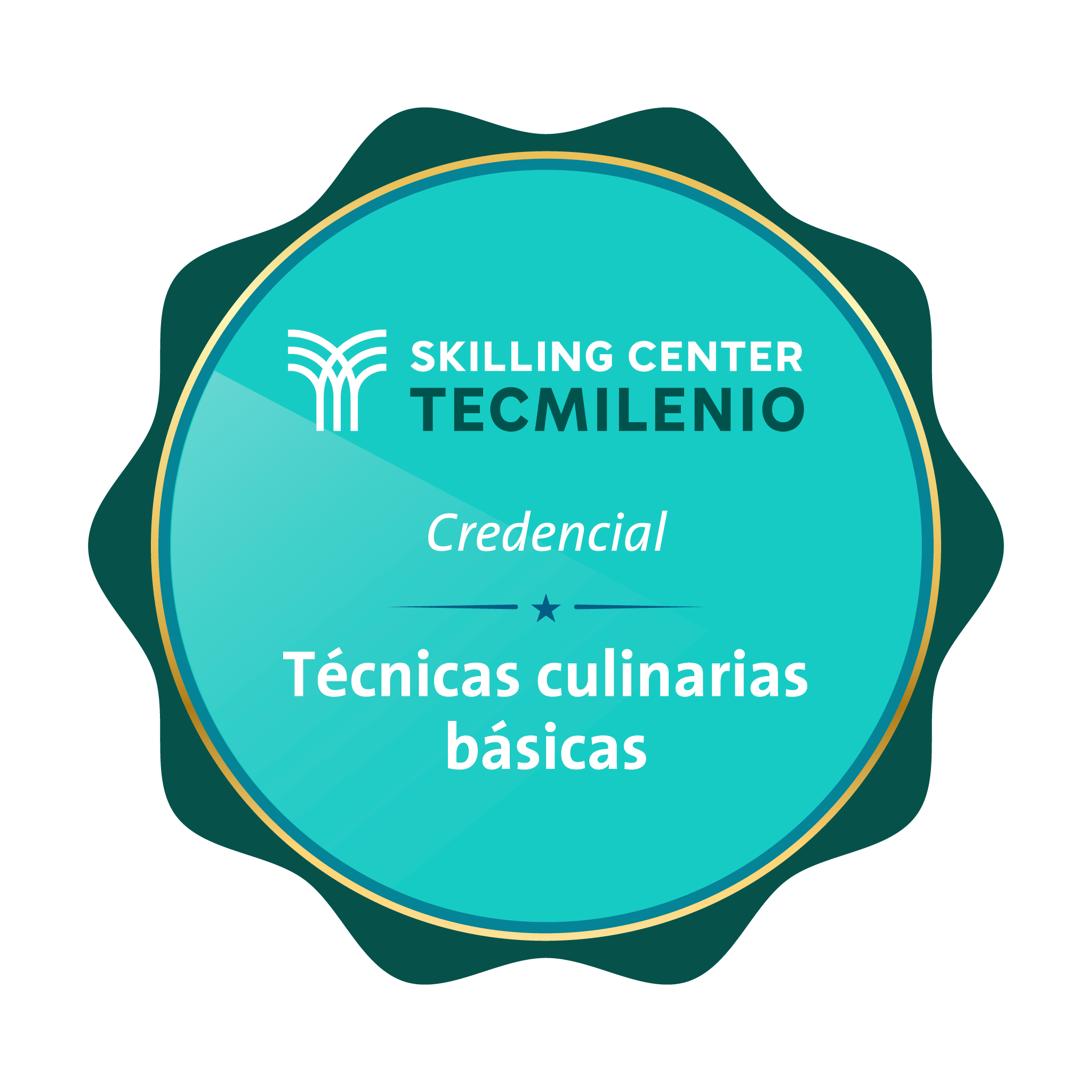 Credencial Técnicas culinarias básicas