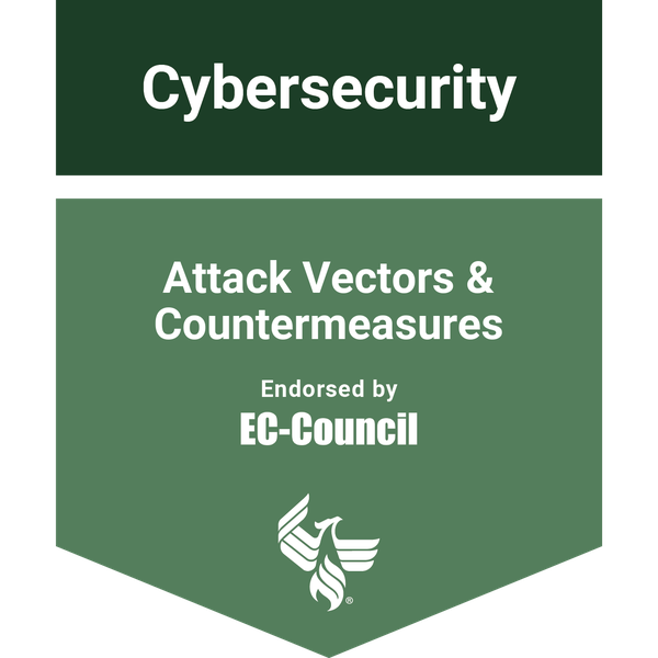 Attack Vectors & Countermeasures