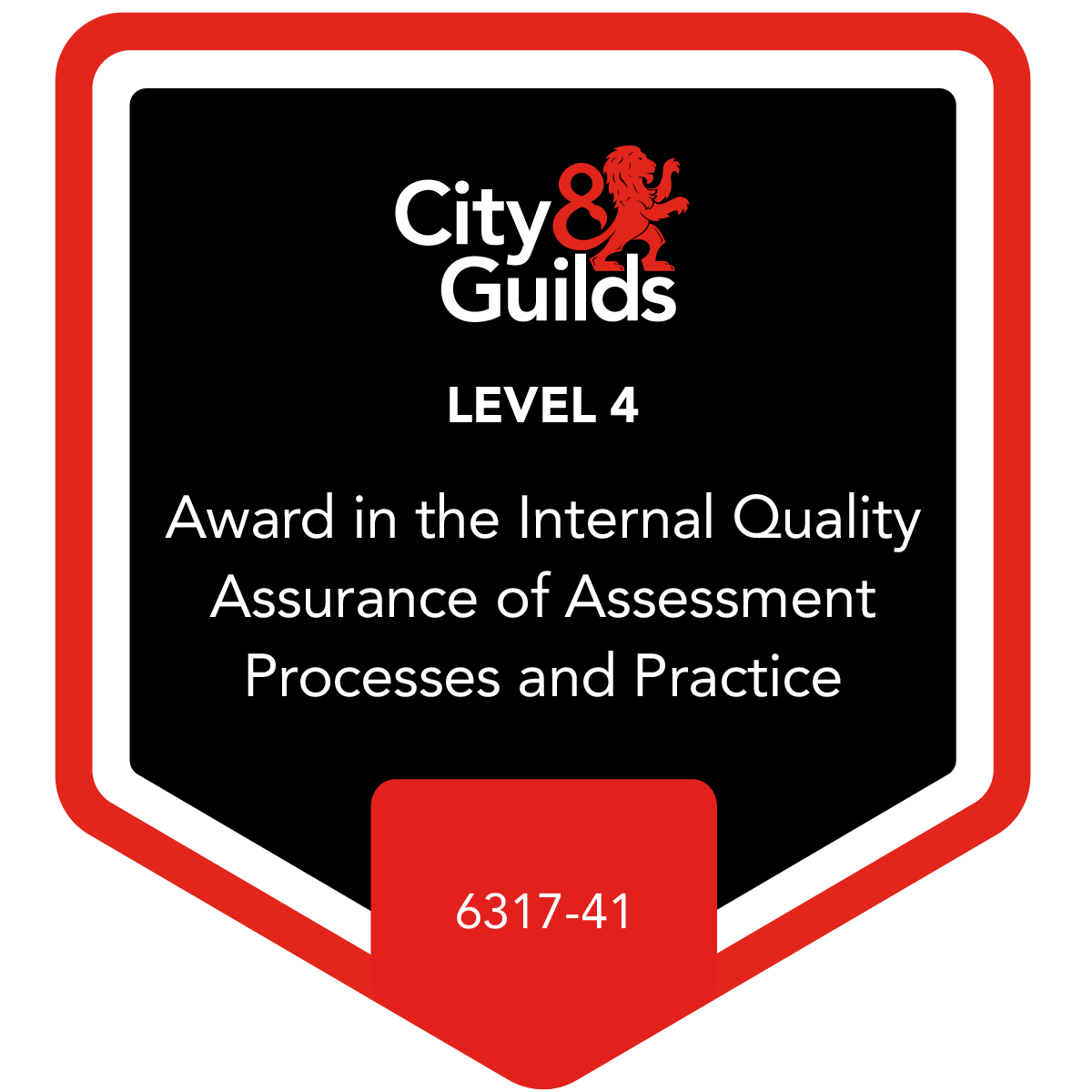 Level 4 Award in the Internal Quality Assurance of Assessment Processes and Practice - 6317-41