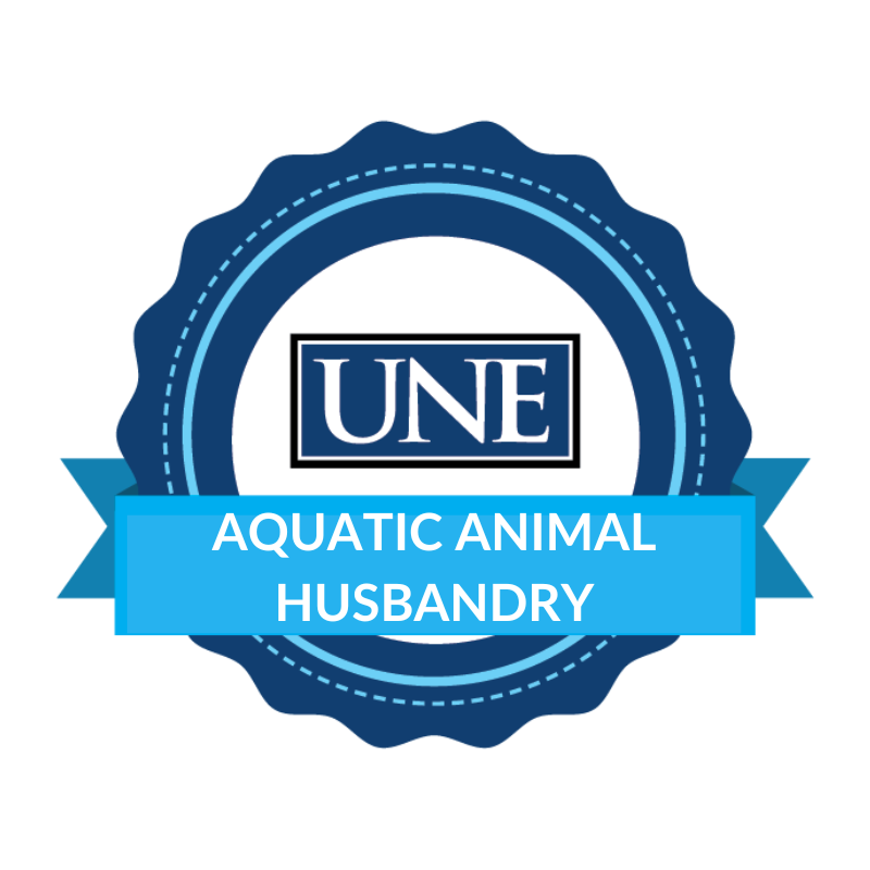 Aquatic Animal Husbandry