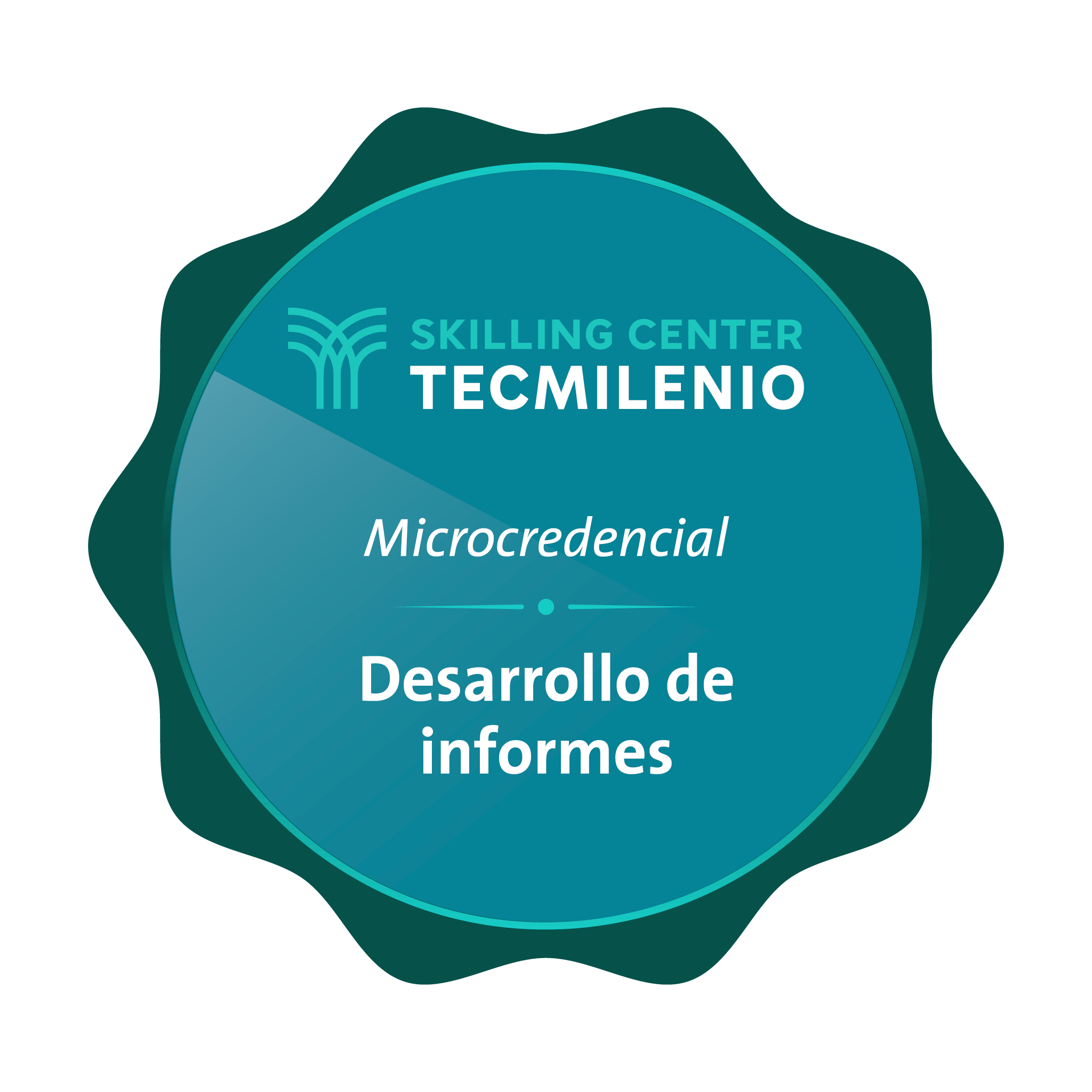 Microcredencial Desarrollo de informes