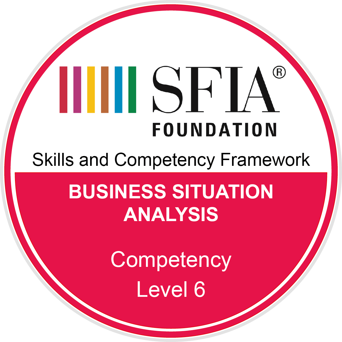 Business situation analysis - Competency - Level 6