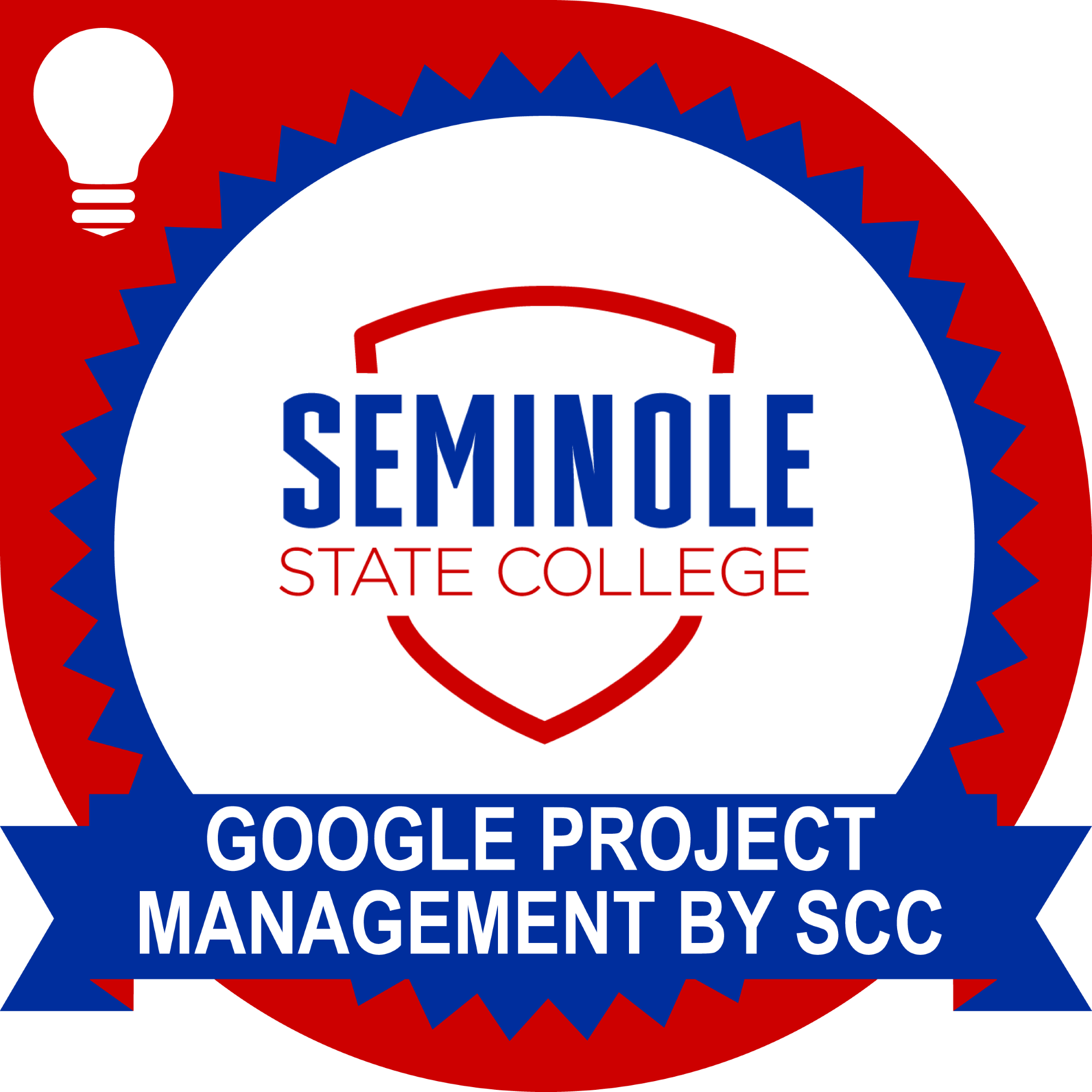 Google Project Management by SSC