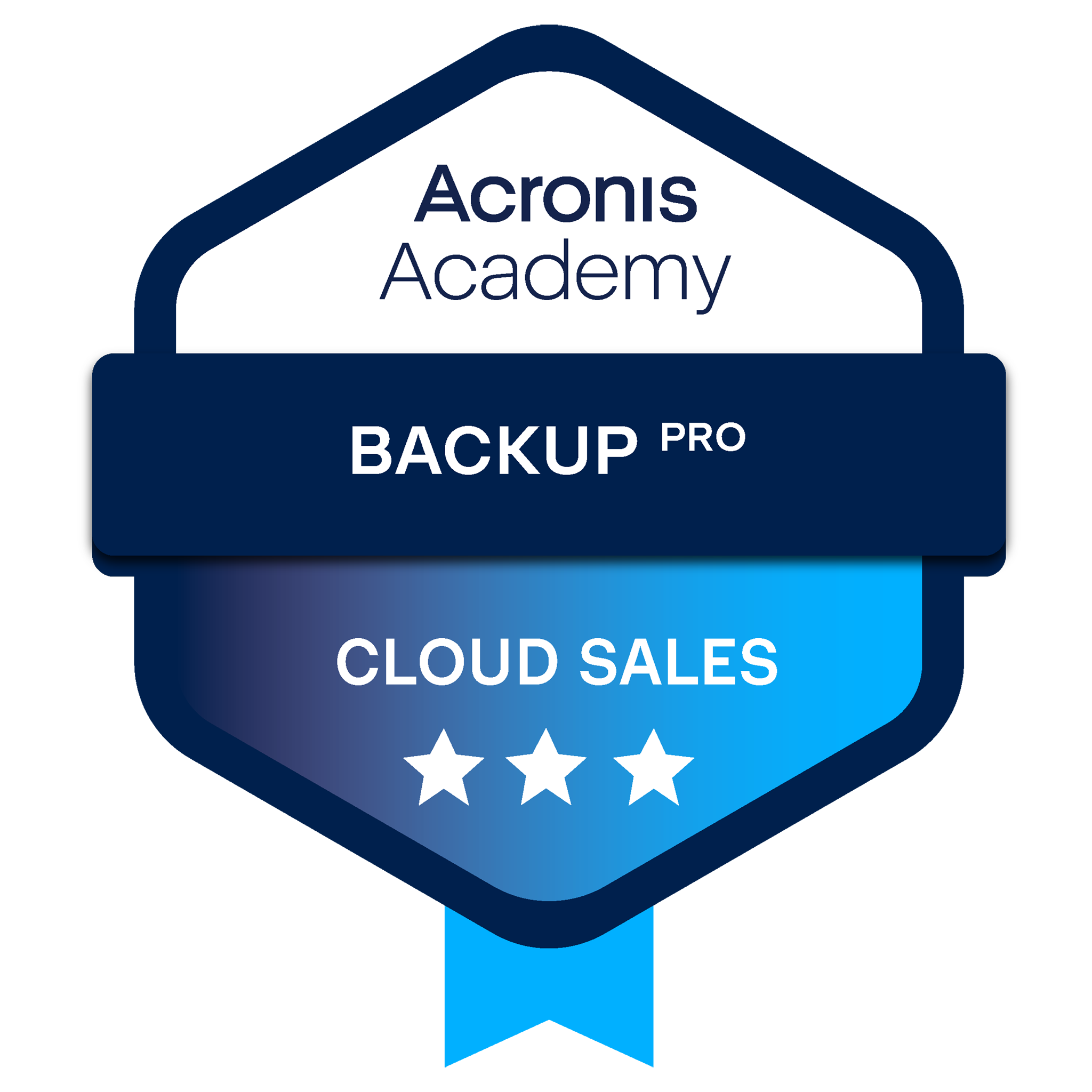 Cloud Sales Pro - Backup