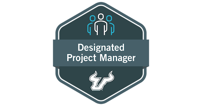 Designated Project Manager (Project Management for the non-Project ...
