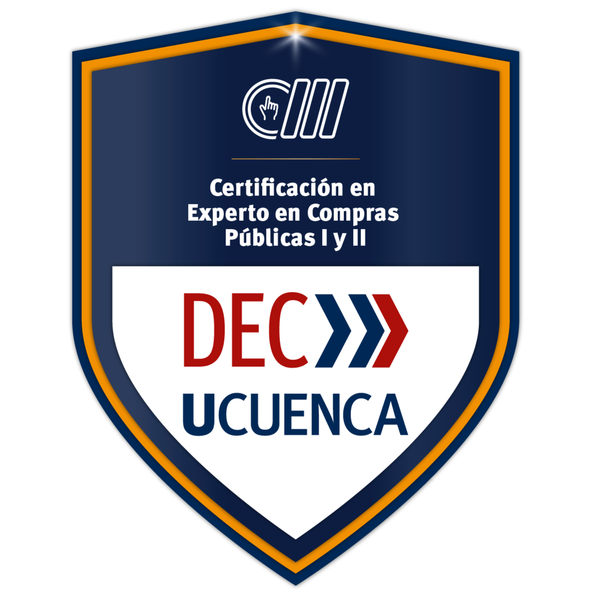 Experto en Compras Públicas I y II