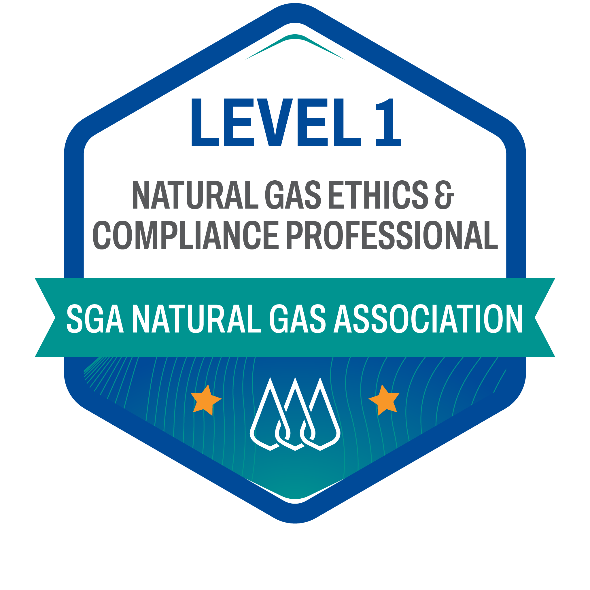 Level 1 Natural Gas Industry Ethics and Compliance Professional
