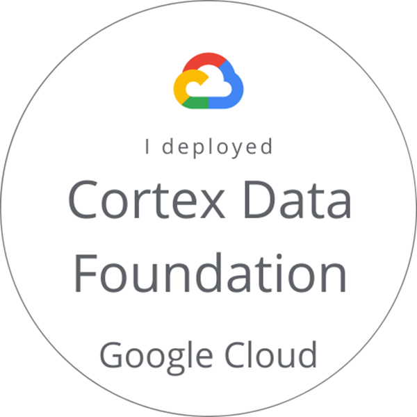 I deployed Cortex Data Foundation