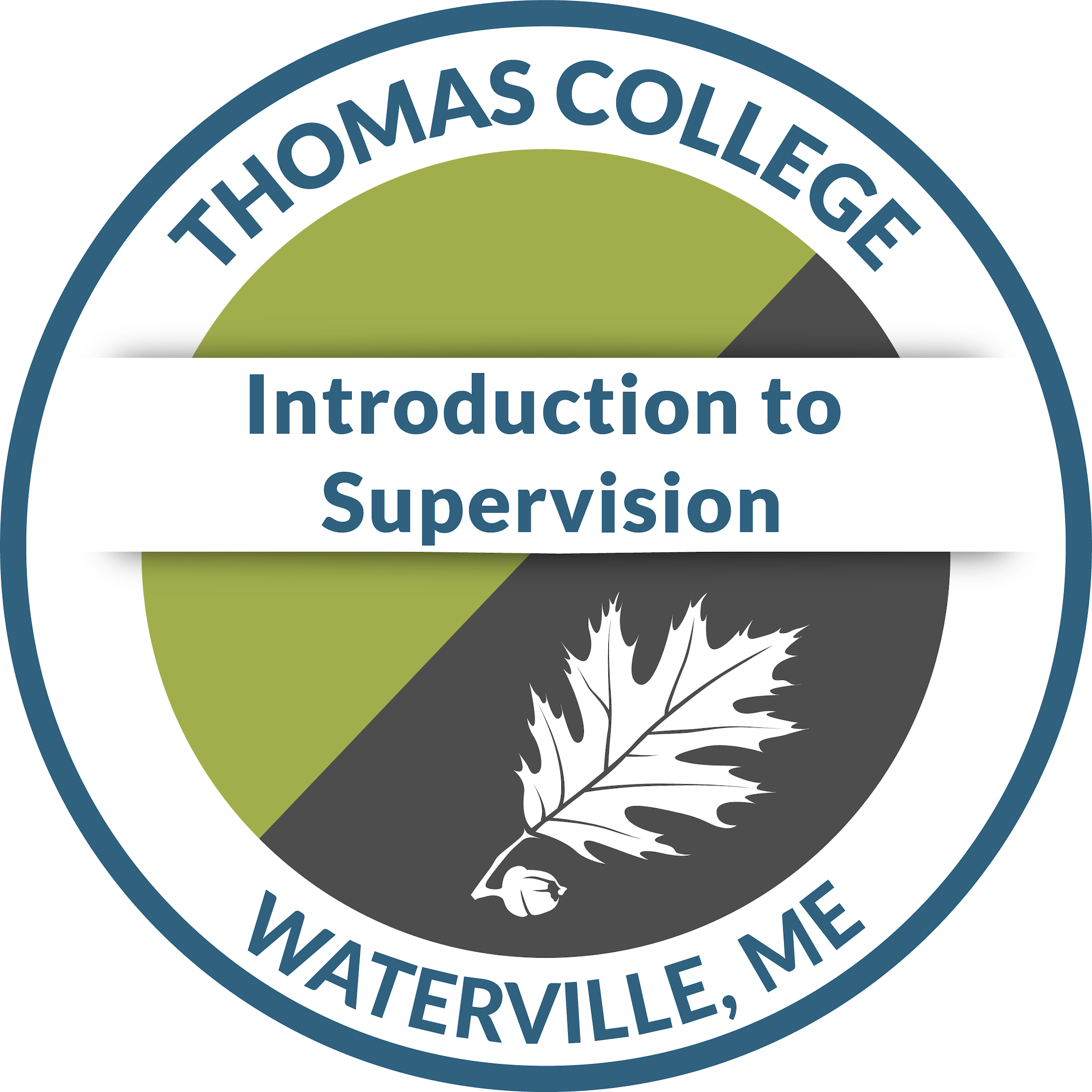 Introduction to Supervision