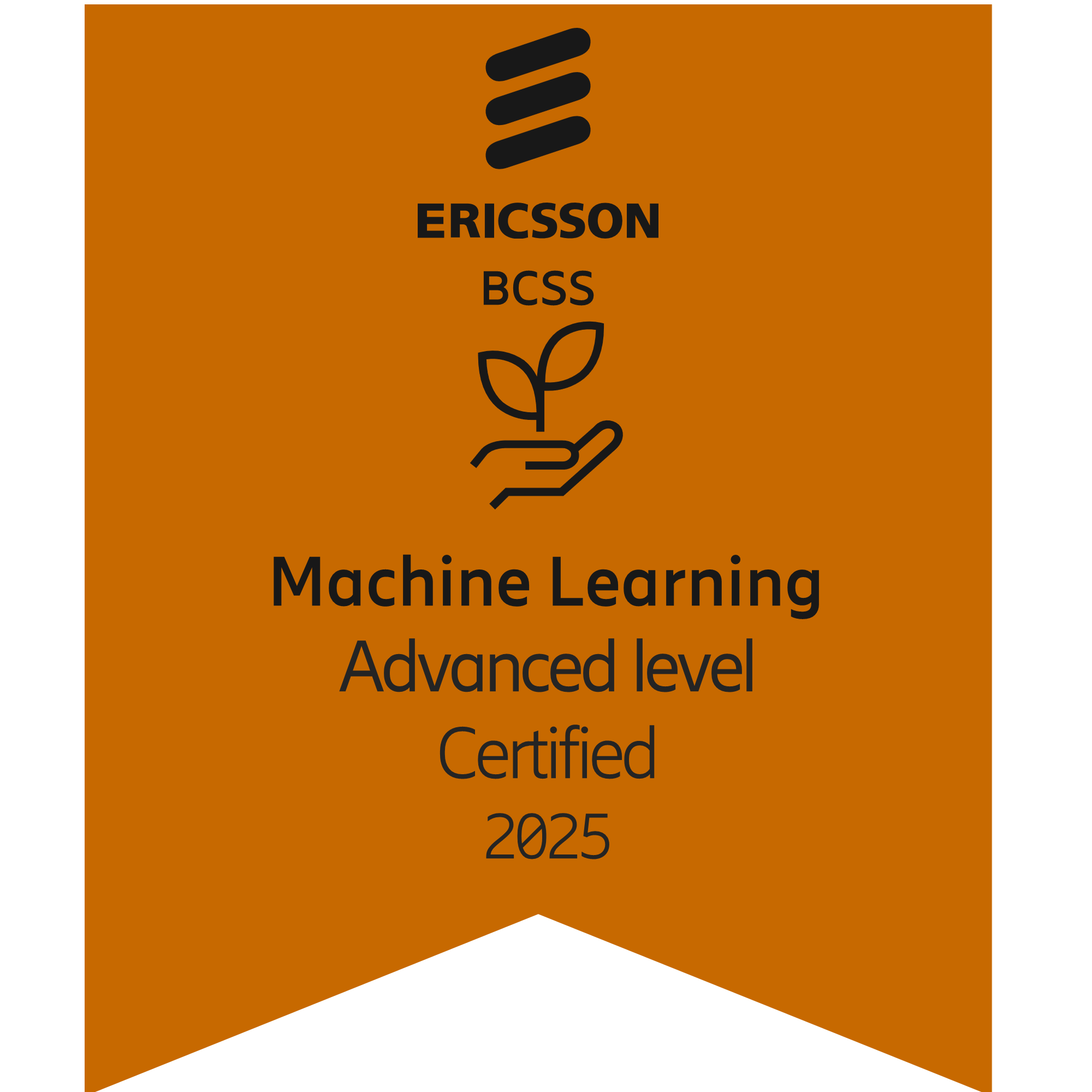 BCSS Machine Learning Advanced Level 2025