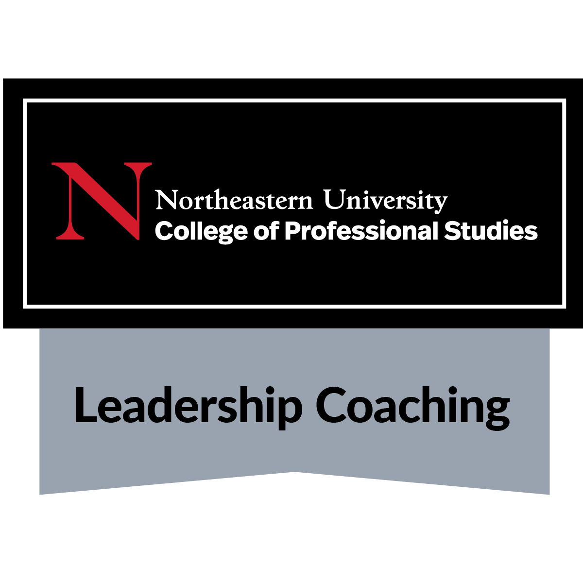 Leadership Coaching