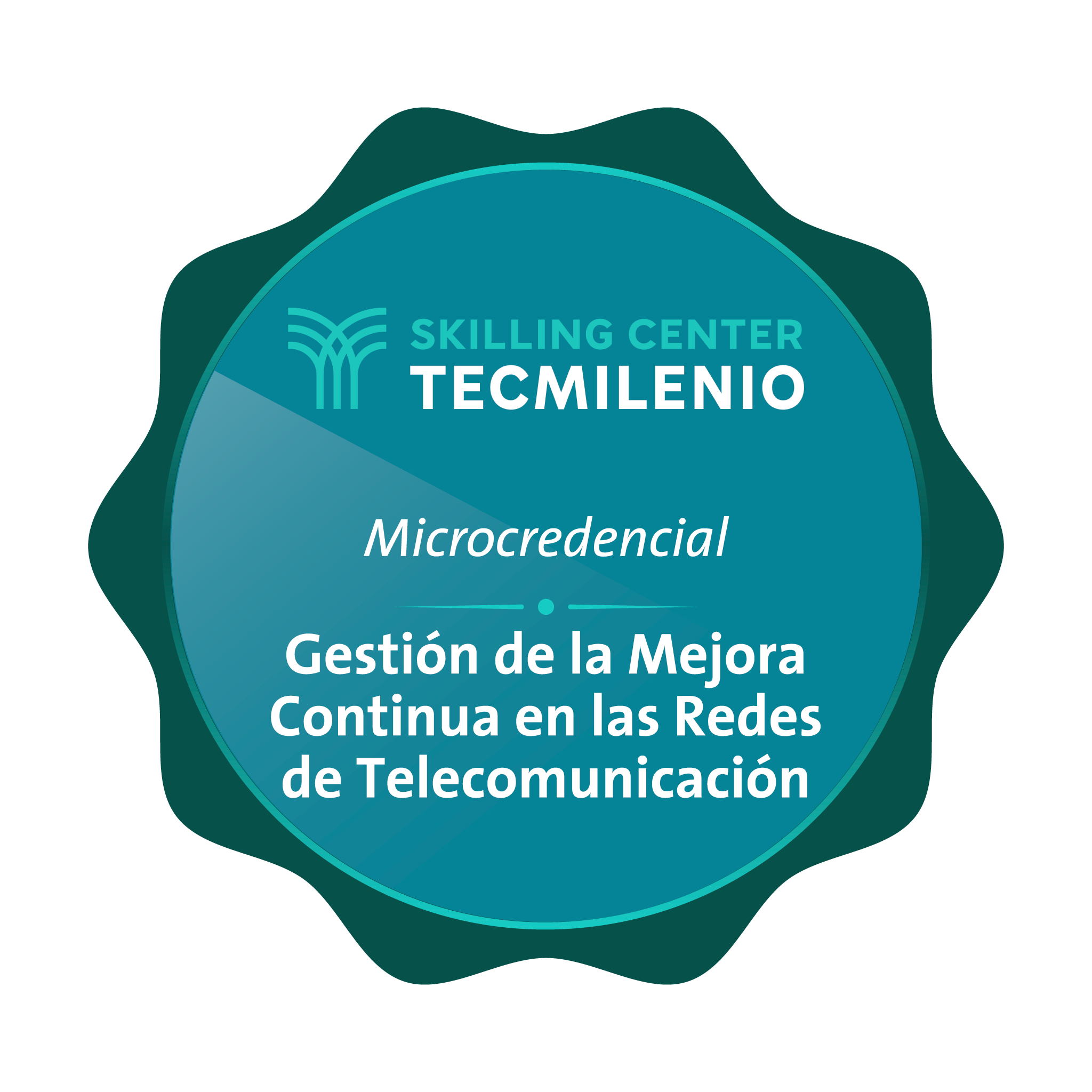 Microcredencial Gestión de la mejora continua en las redes de telecomunicación