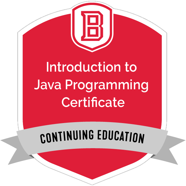 Introduction to Java Programming Certificate