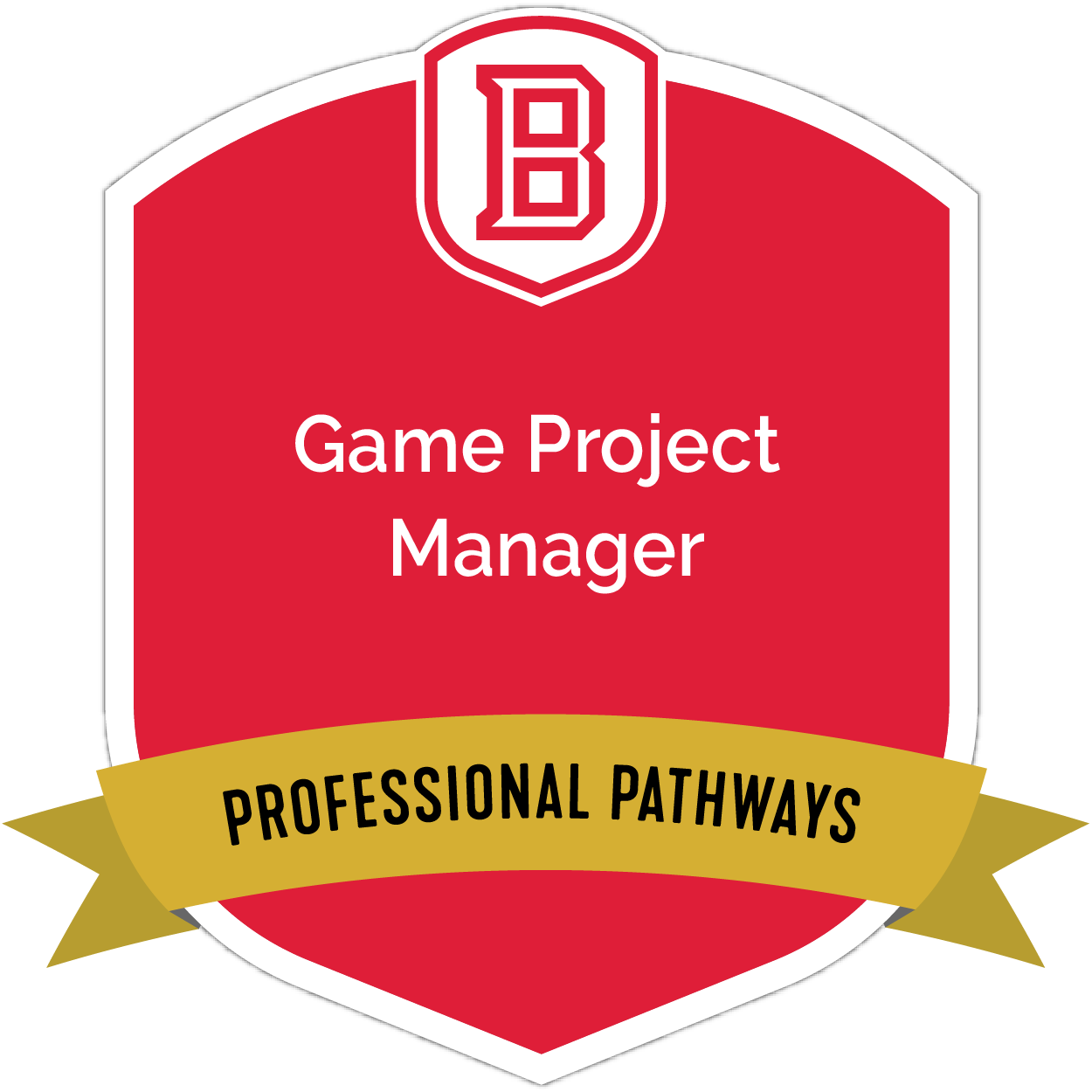 Game Project Manager