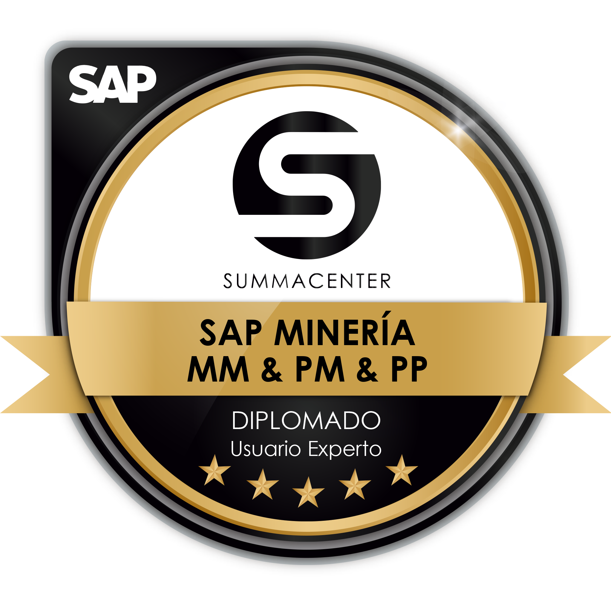 SAP Minería MM & PM & PP (Diplomado) Black