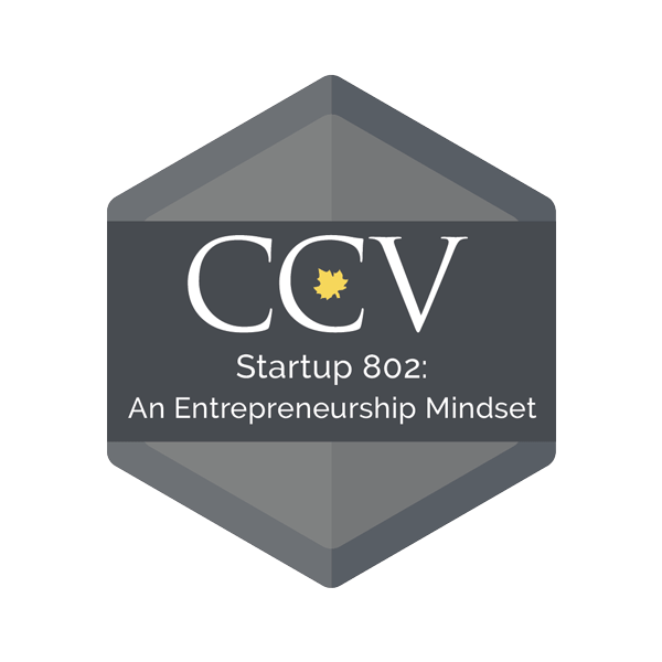 Startup 802: An Entrepreneurship Mindset