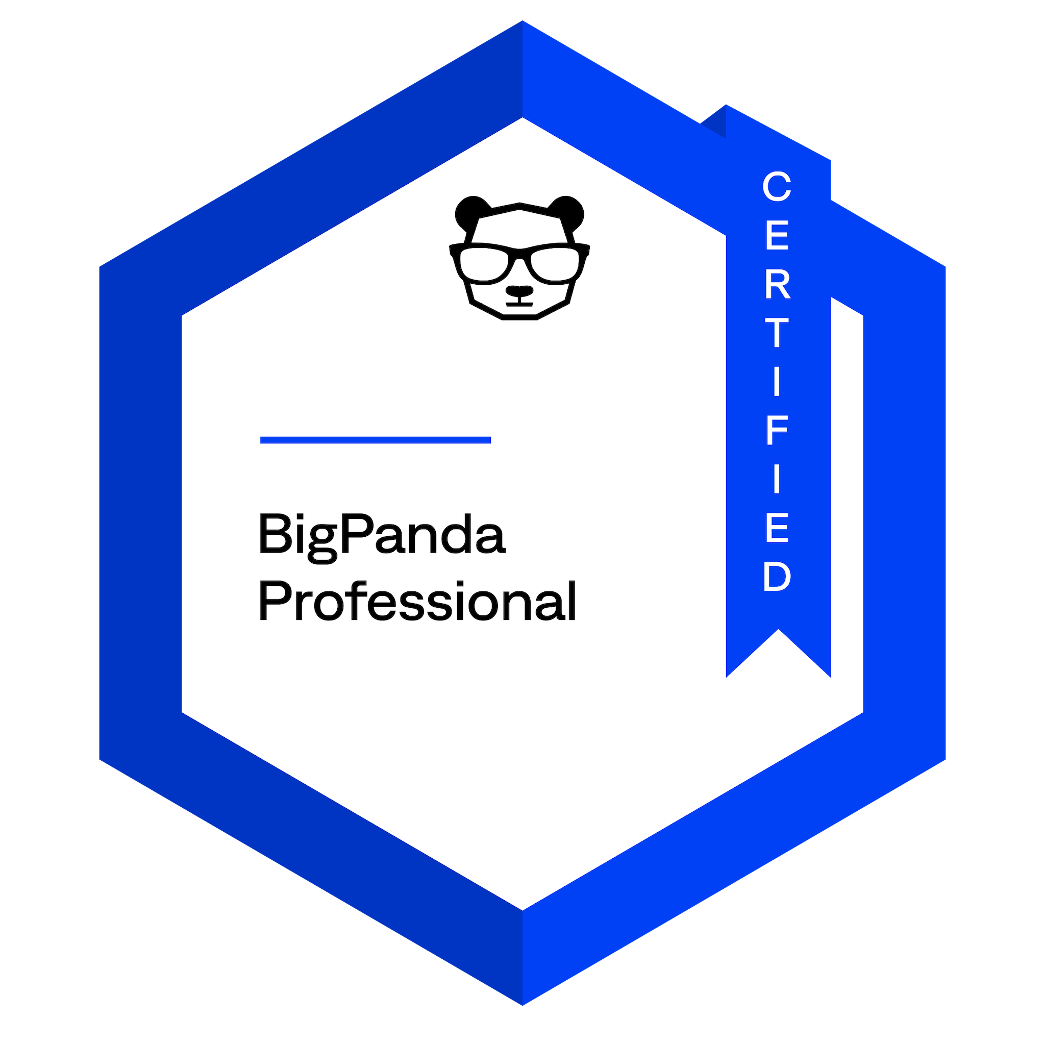 BigPanda Professional