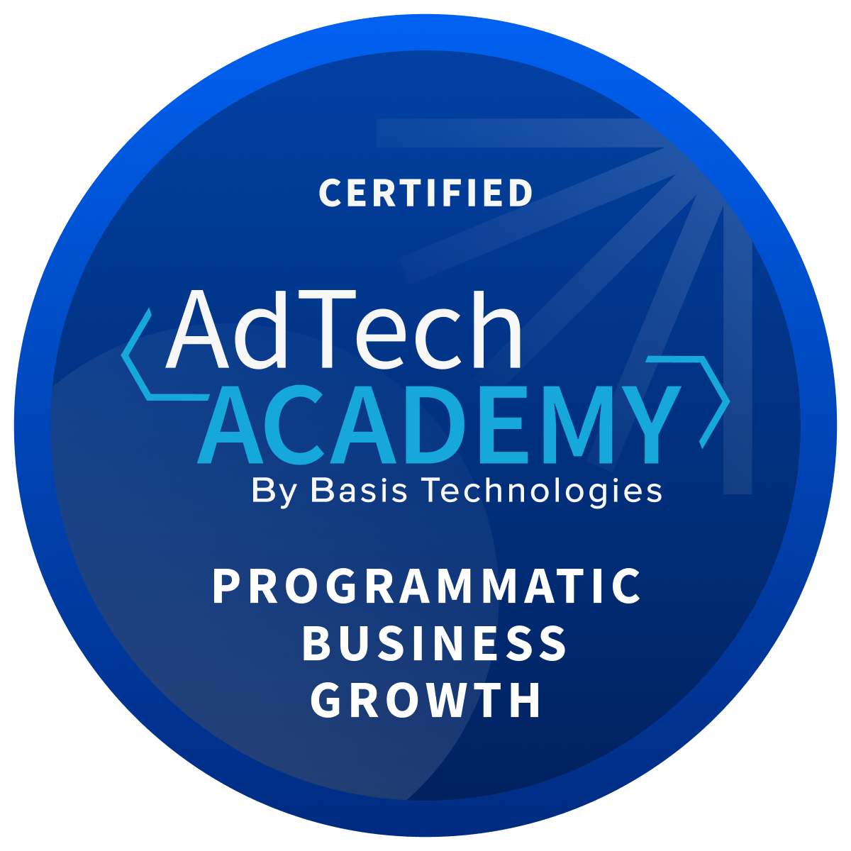 Programmatic Business Growth