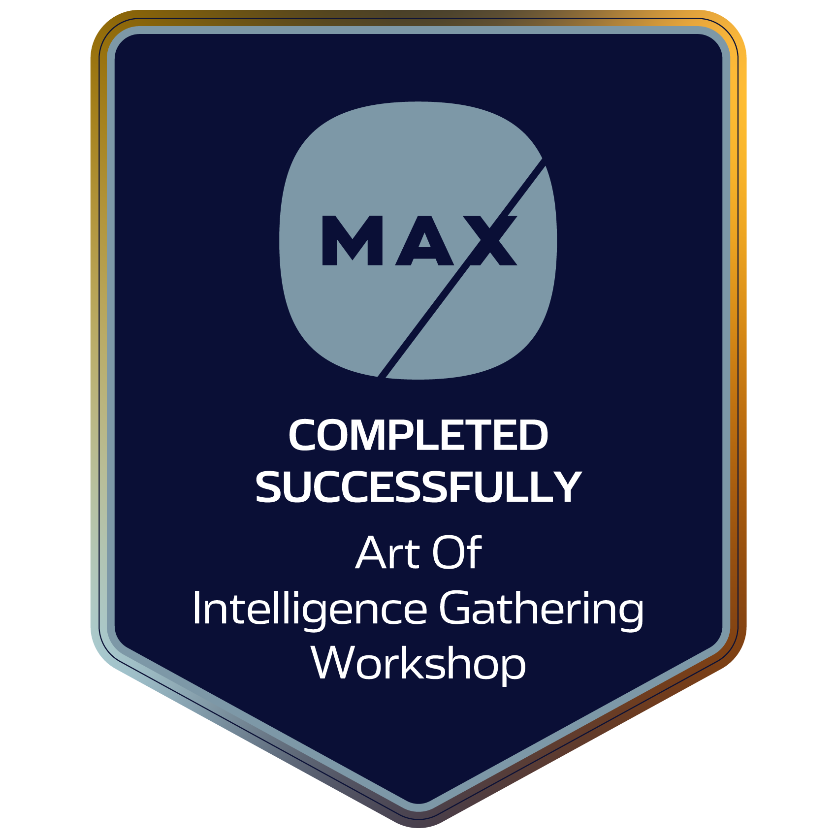 MAX Art of Intelligence Gathering Workshop