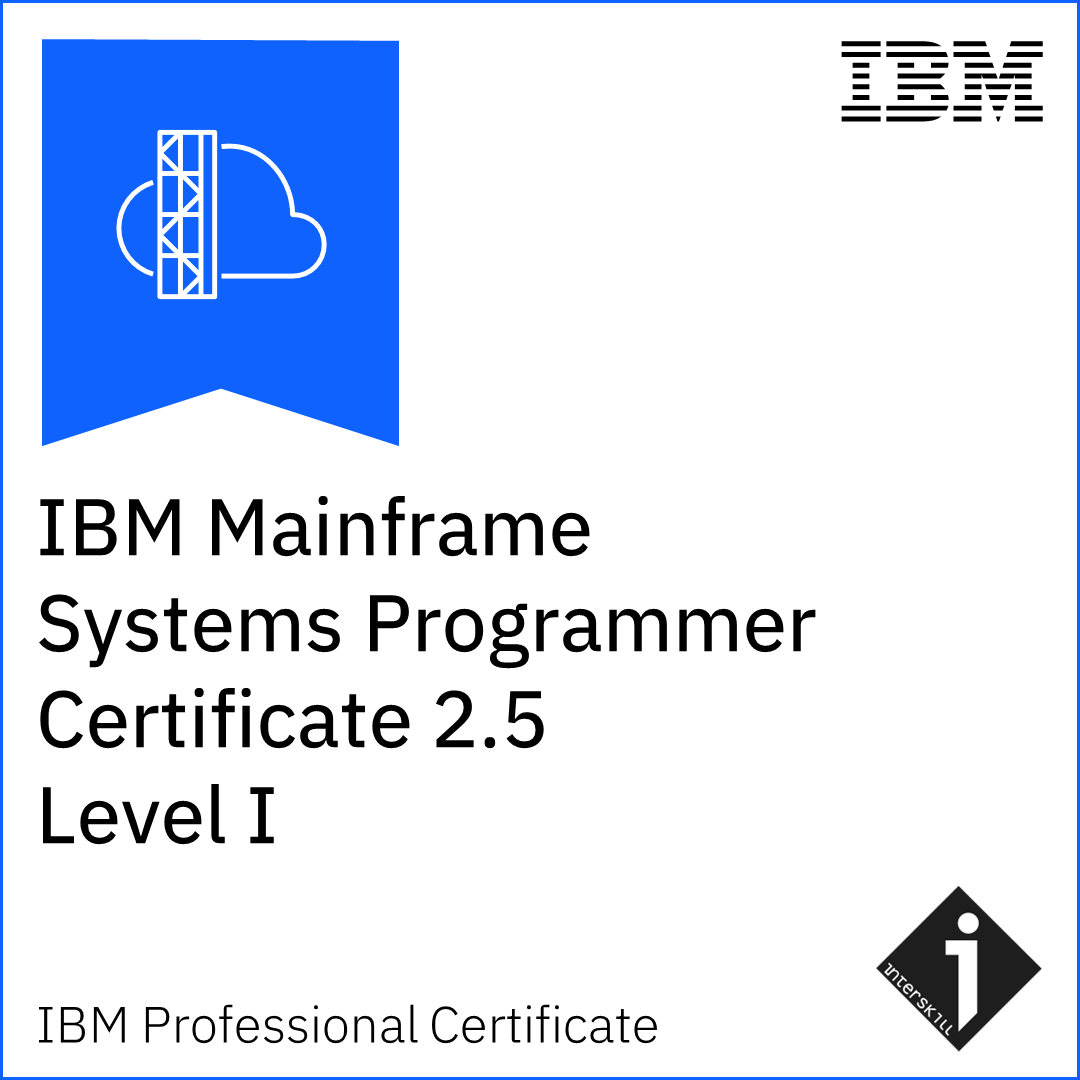 IBM社章 IBM アイビーエム IBM Z LAPEL PIN ピンバッジ グッズ 通販