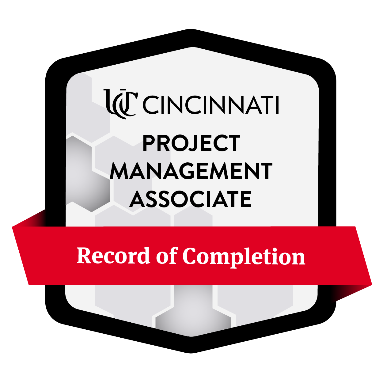 Project Management Associate