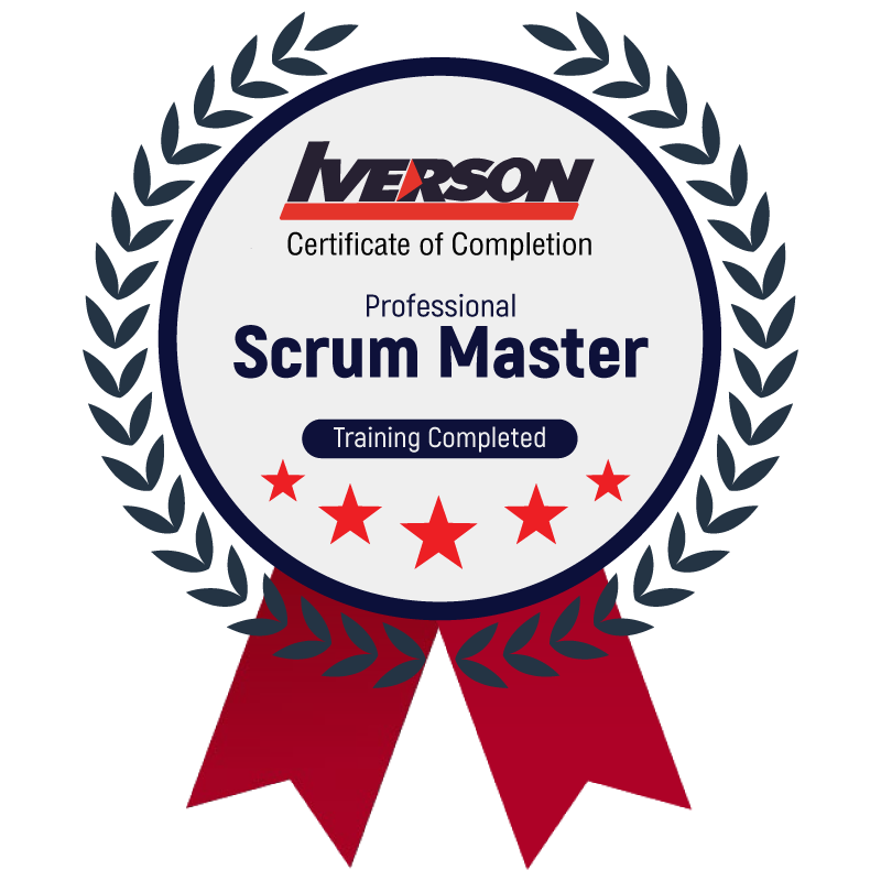 Professional Scrum Master