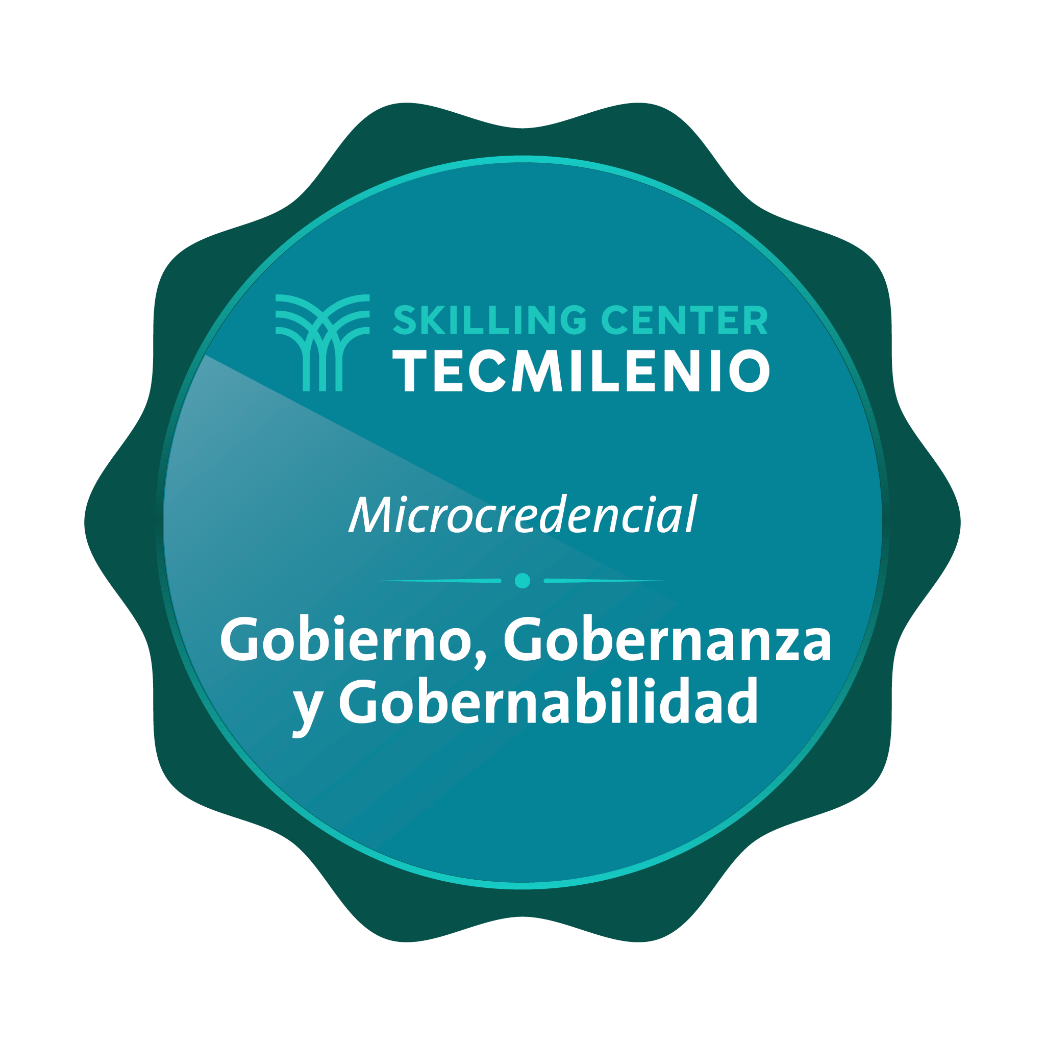 Microcredencial Gobierno, gobernanza y gobernabilidad