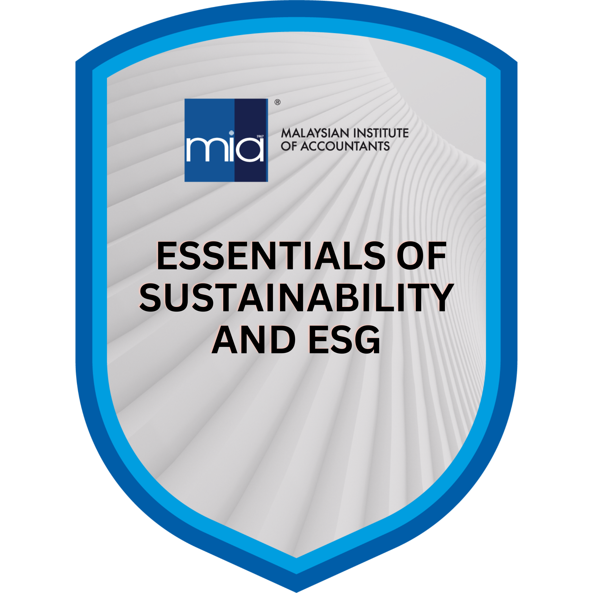Essentials Of Sustainability And Esg Credly