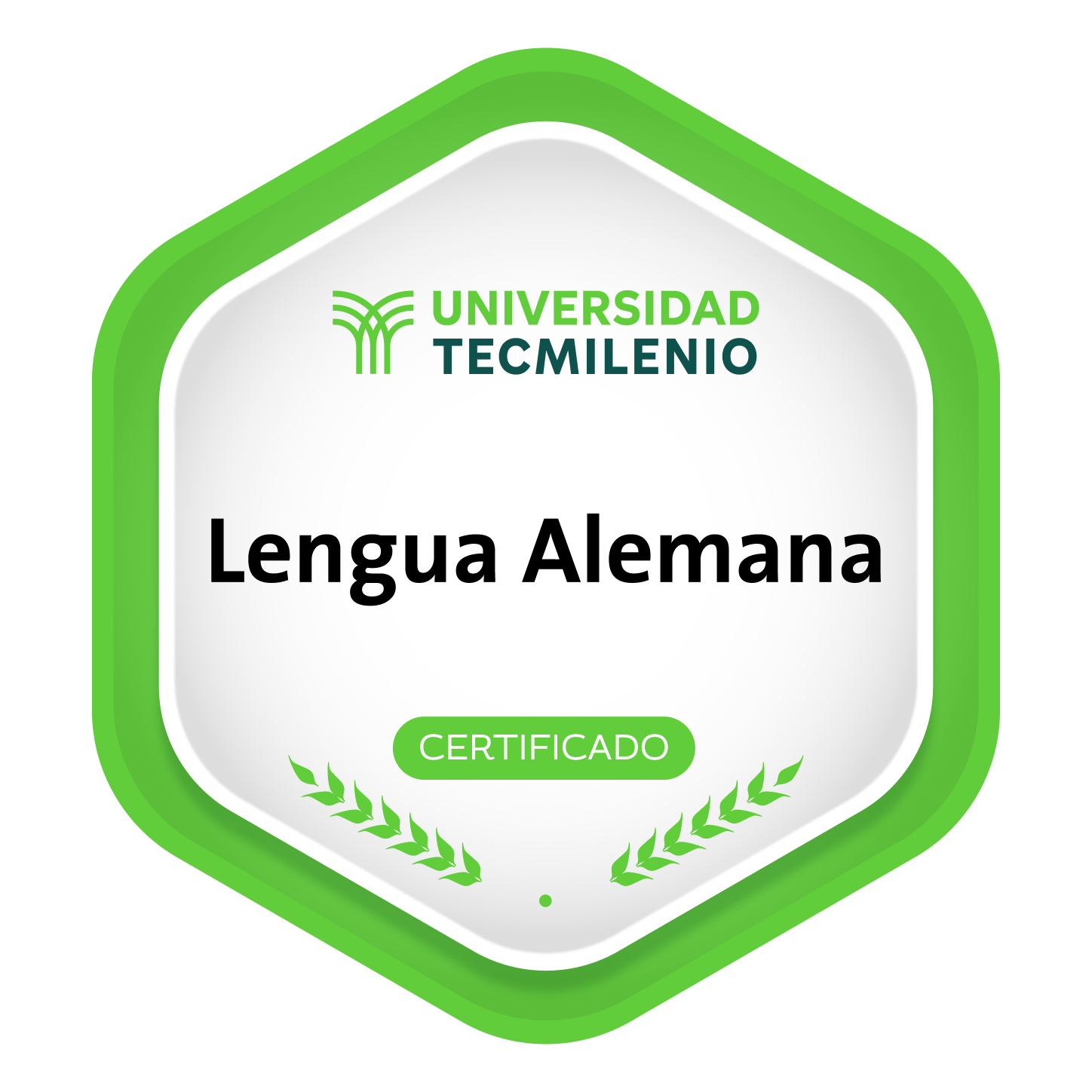 Lengua Alemana - Credly