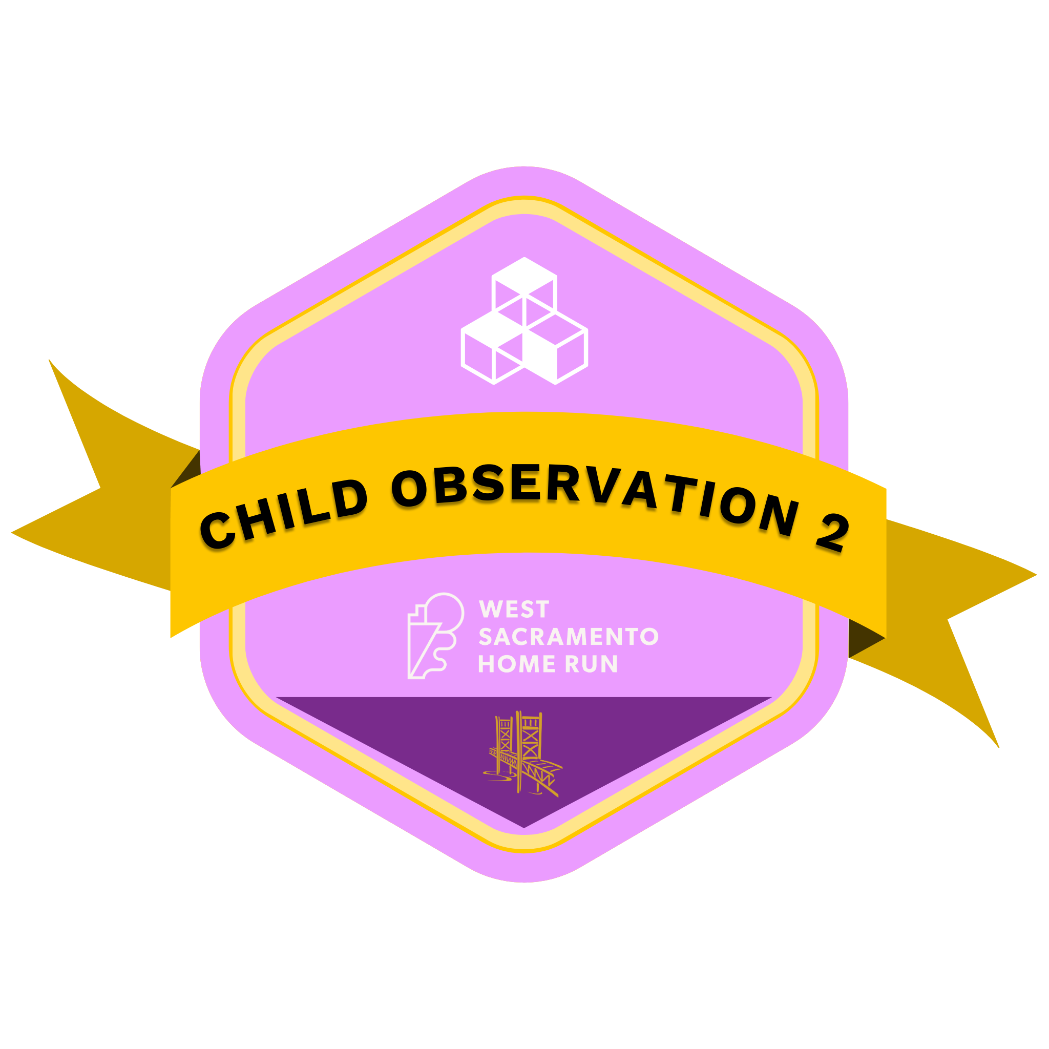 Child Observation 2