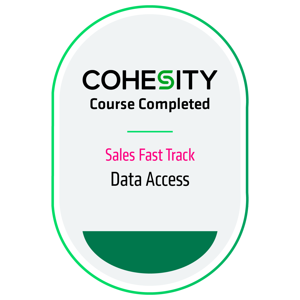 Data Access - Fast Track