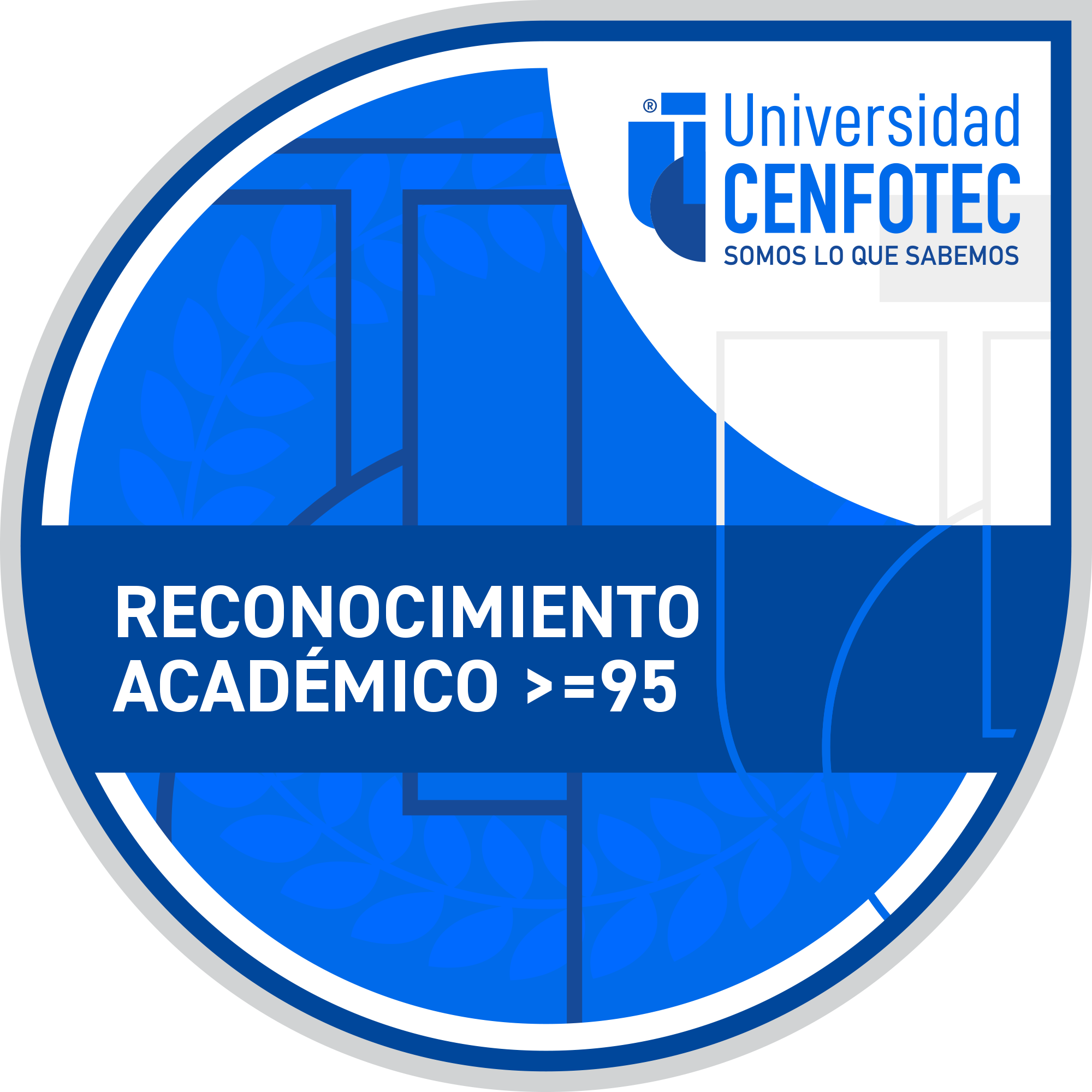 Reconocimiento académico - Promedio >=95