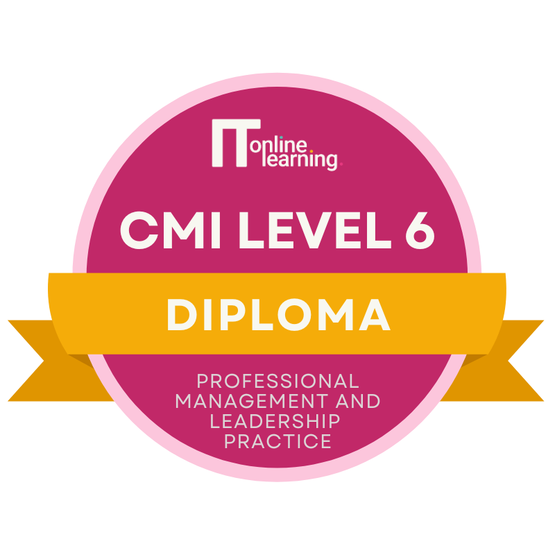 CMI Level 6 Diploma in Professional Management and Leadership Practice